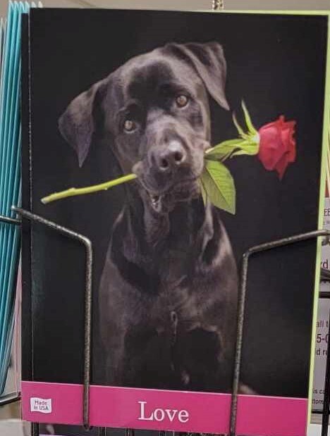 Full Size Greeting Card